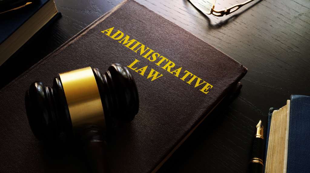 Navigating Visa Applications, Administrative Reviews, and Judicial Reviews: 